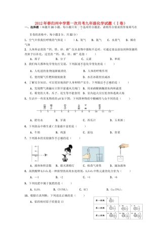 九年级化学下期第一次月考试卷 人教新课标版试卷
