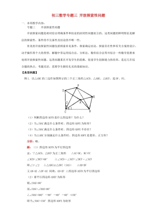 初三数学专题三 开放探索性问题 湘教版 试题