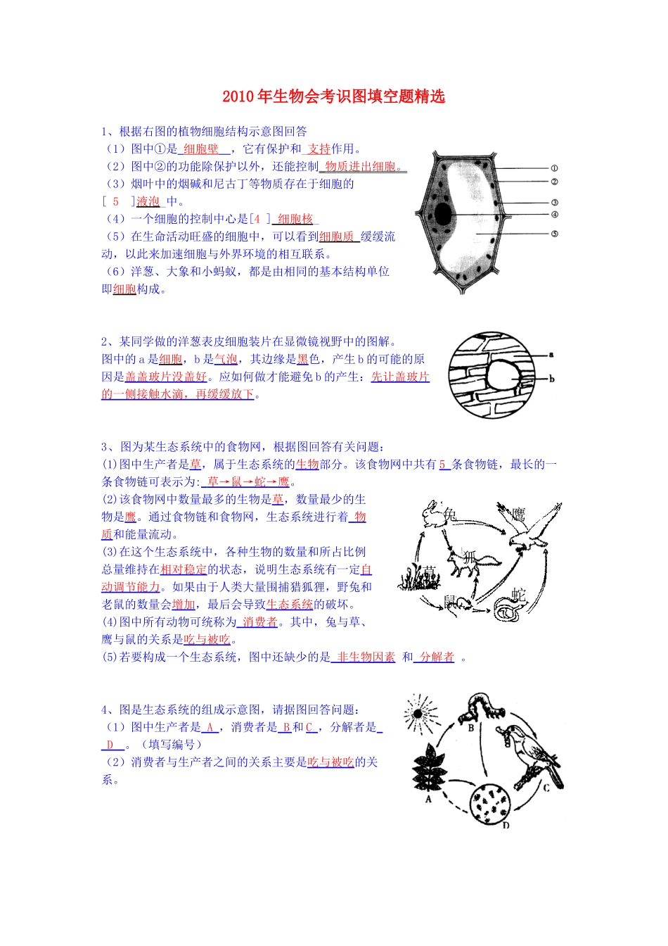中考生物会考识图填空题精选 人教新课标版试卷_第1页
