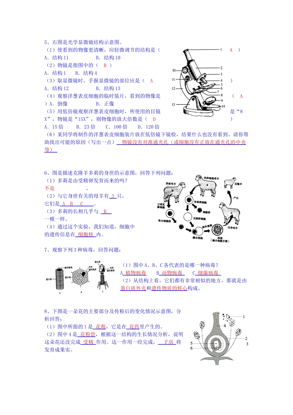 中考生物会考识图填空题精选 人教新课标版试卷_第2页