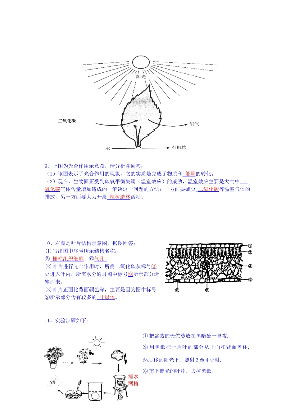 中考生物会考识图填空题精选 人教新课标版试卷_第3页