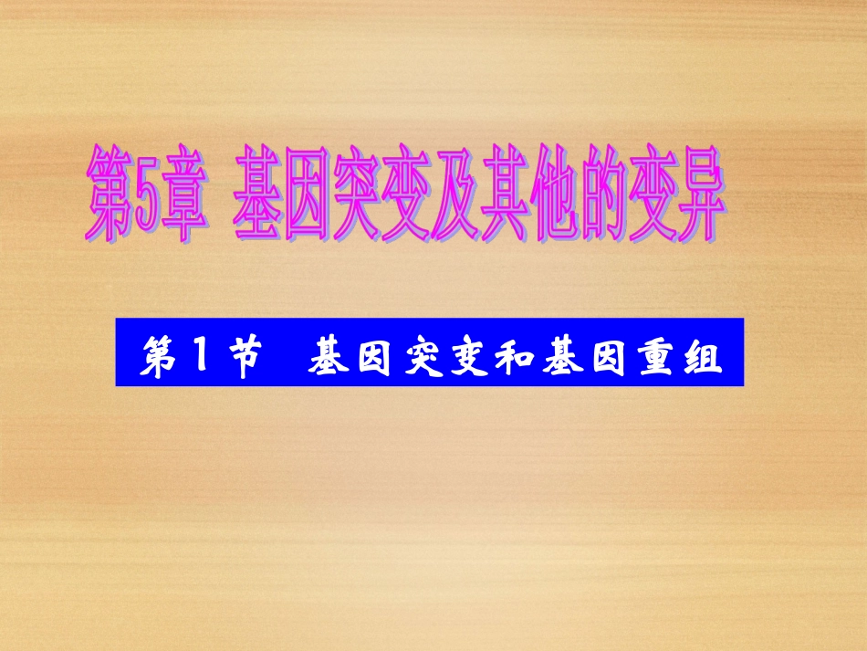 5.1-基因突变和基因重组--课件(人教版必修II)_第1页