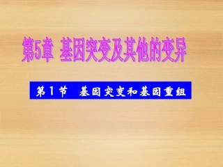 5.1-基因突变和基因重组--课件(人教版必修II)