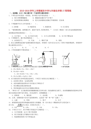 九年级化学上学期第17周周练试卷 新人教版试卷