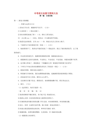 中考语文总复习资料大全试卷