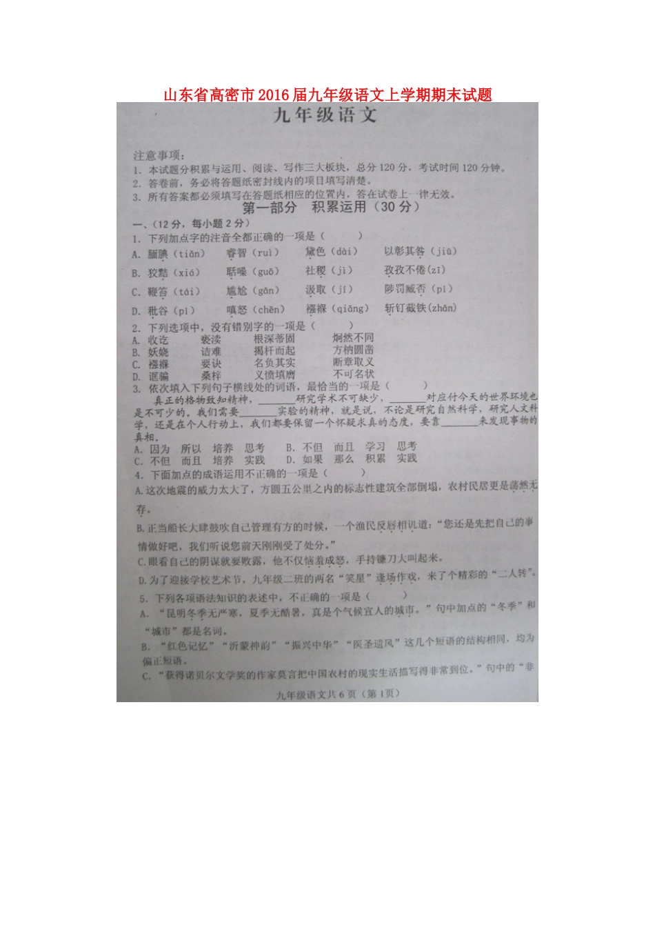 山东省高密市九年级语文上学期期末试卷苏教版试卷_第1页