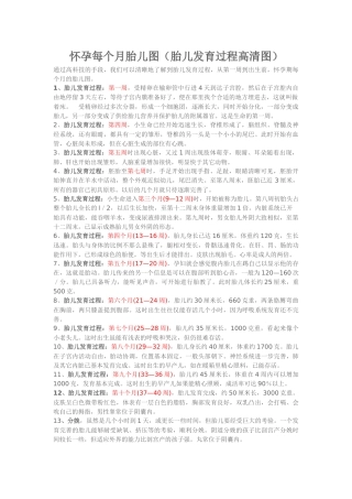 怀孕每个月胎儿图