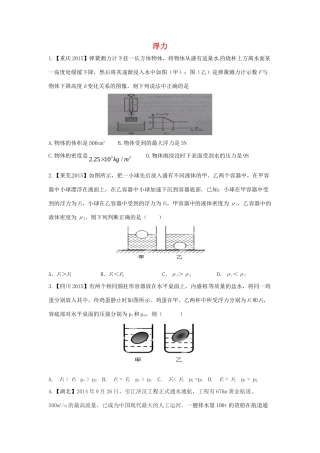 山东省济宁市微山县 八年级物理全册 浮力复习测试卷 沪科版试卷