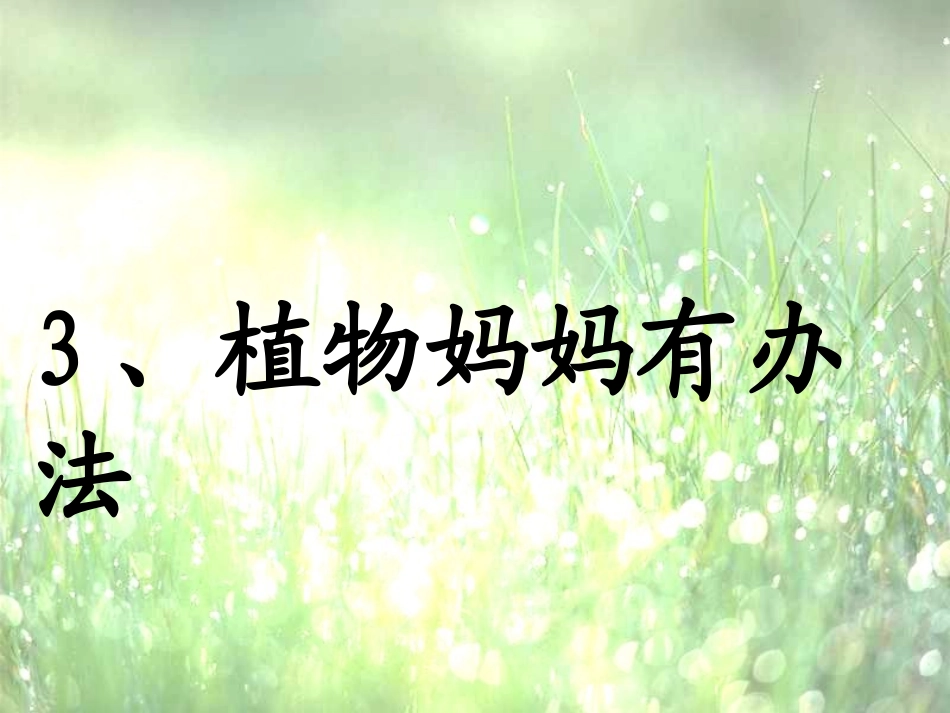 植物妈妈有办法教学课件_第1页