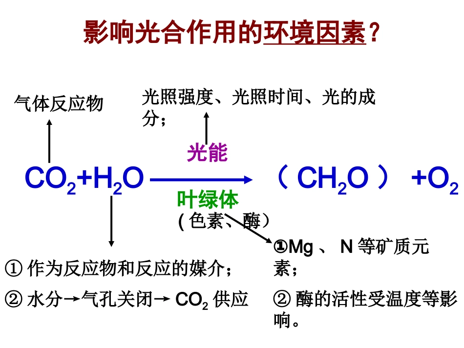 影响光合作用的环境因素_第3页