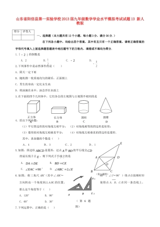 九年级数学学业水平模拟考试试卷13 新人教版试卷