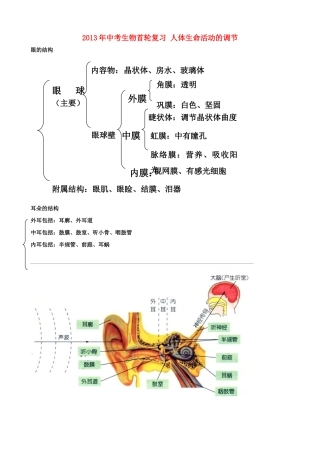 中考生物首轮复习 人体生命活动的调节试卷