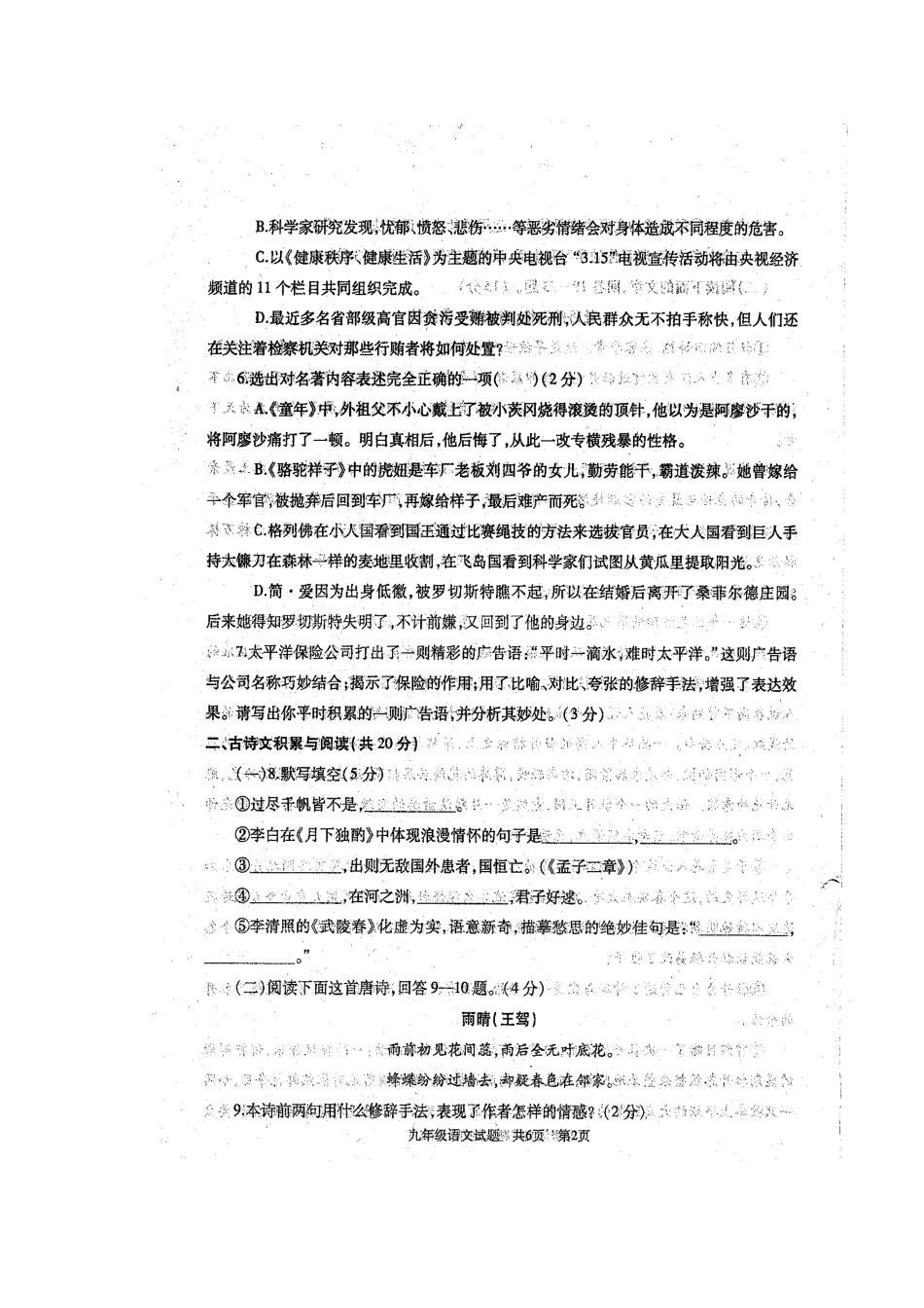 山东省济宁市金乡县九年级语文上学期期末质量检测试卷新人教版试卷_第2页