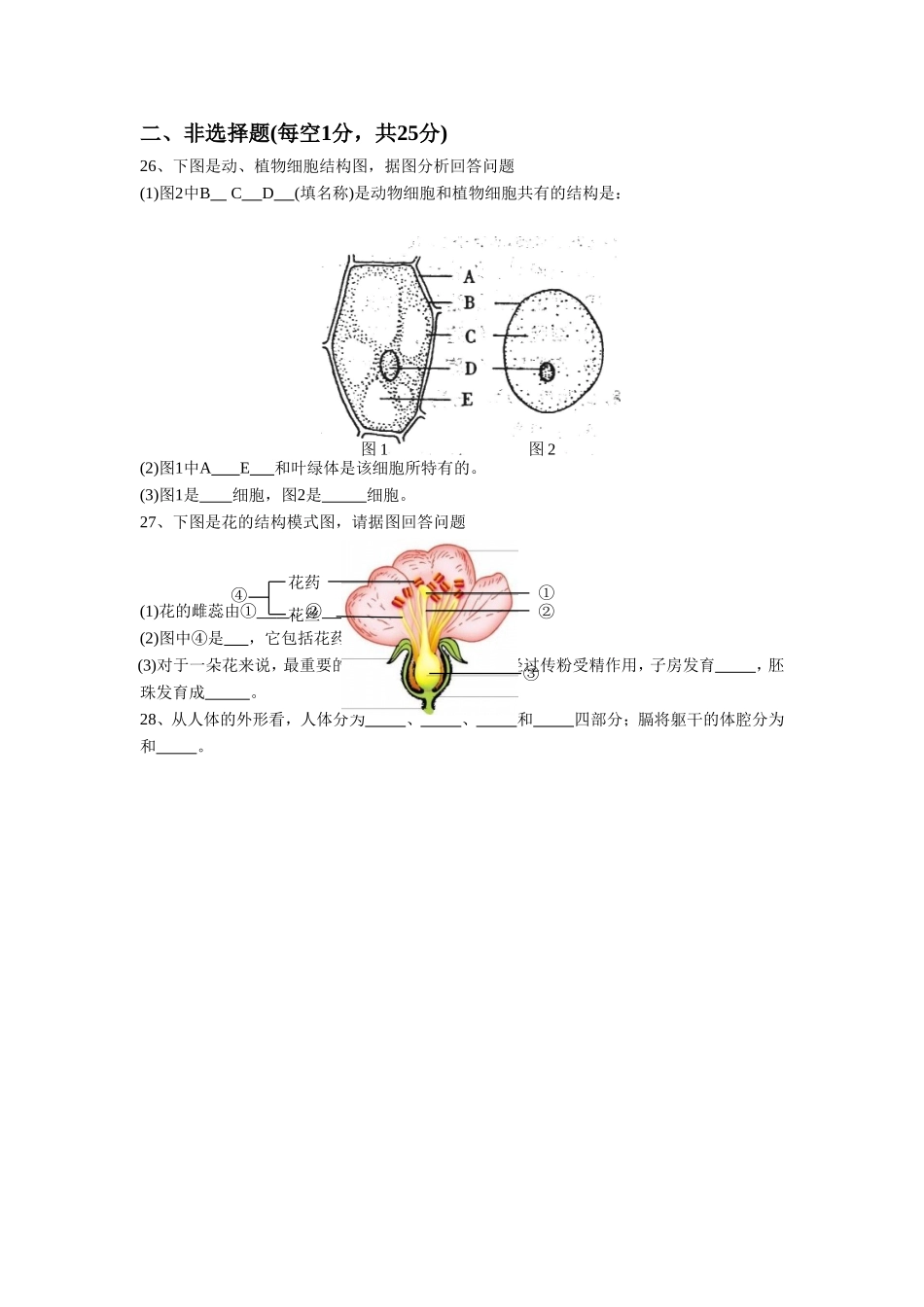 《第1节-生物体的基本结构》同步练习1_第3页