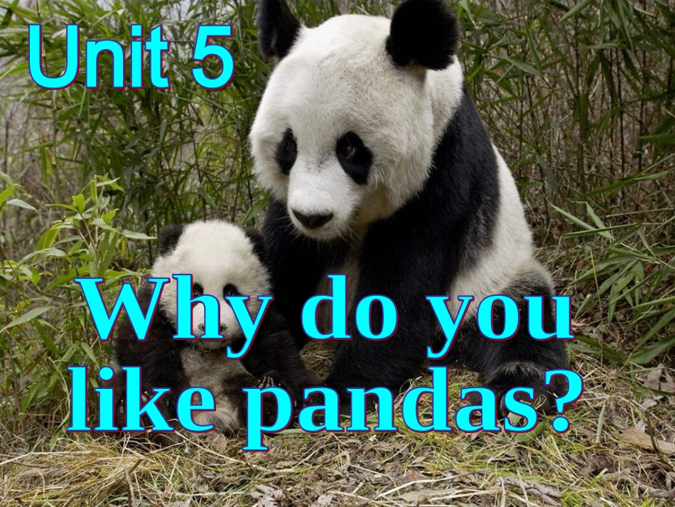 初二Unit5Whydoyoulikepandas_第1页