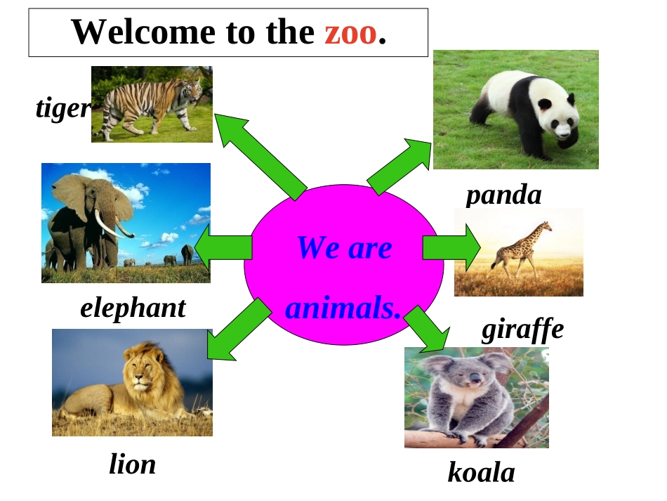 初二Unit5Whydoyoulikepandas_第3页