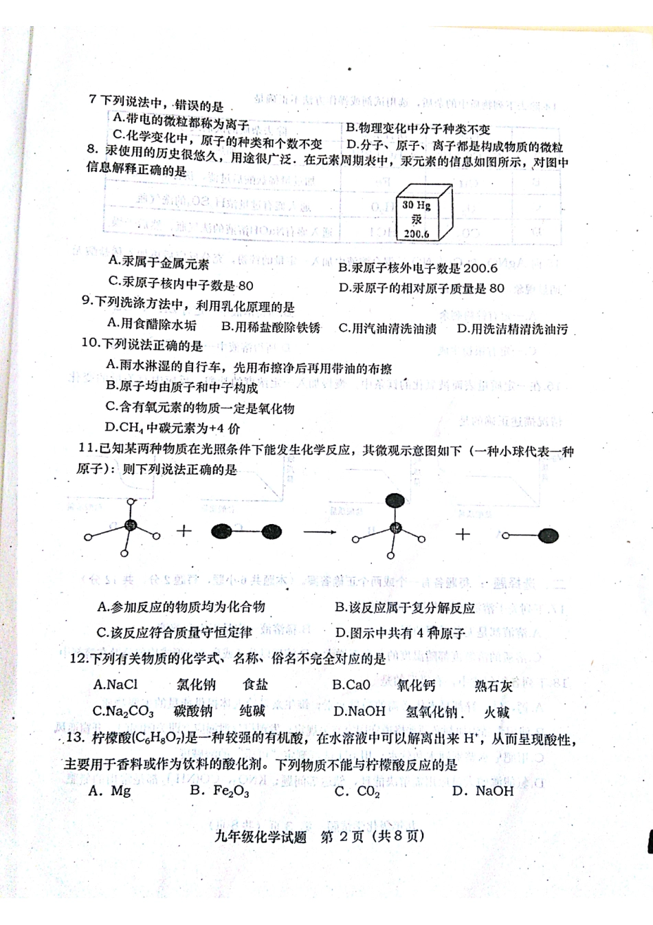 九年级化学下学期第一次模拟考试试卷(pdf)试卷_第2页