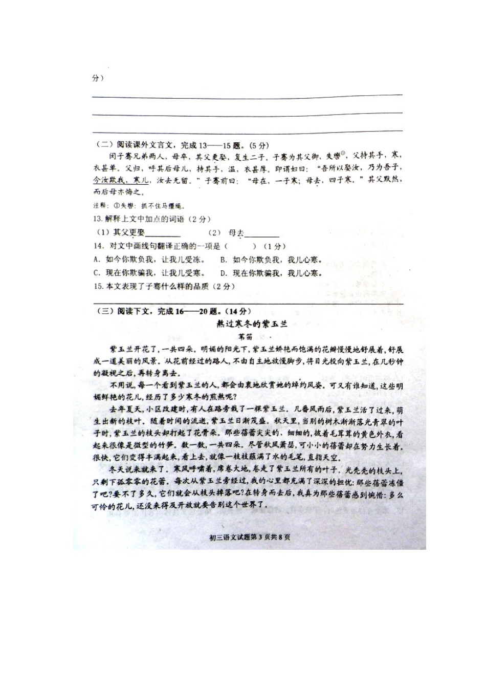 山东省威海市经区八年级语文上学期期中试卷鲁教版五四制试卷_第3页