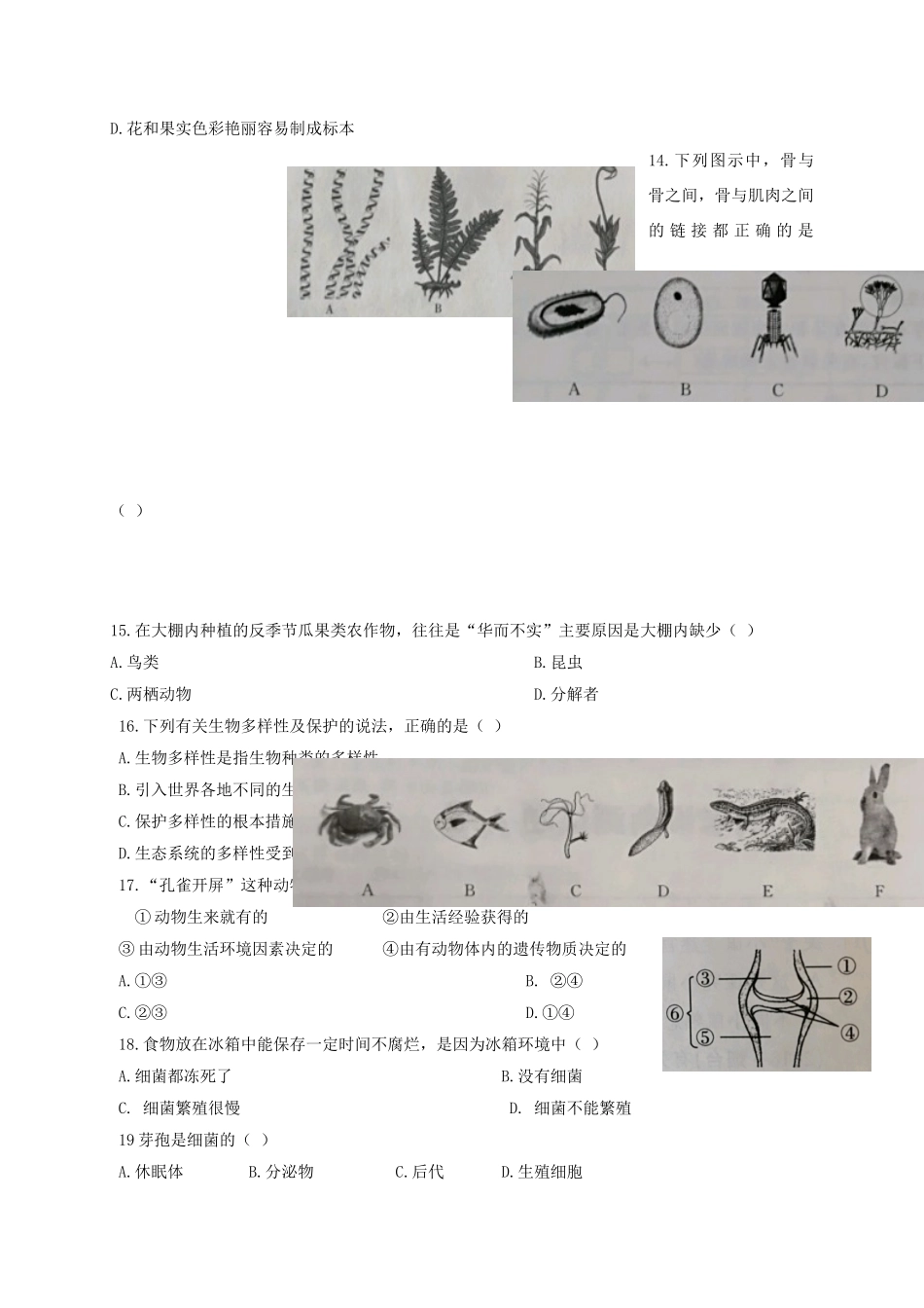 内蒙古通辽市库伦旗 八年级生物上学期期末考试试题 新人教版 试题_第3页