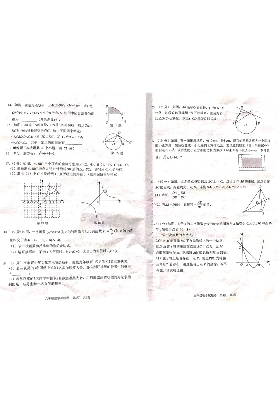 九年级数学上学期期末试卷(pdf)试卷_第2页