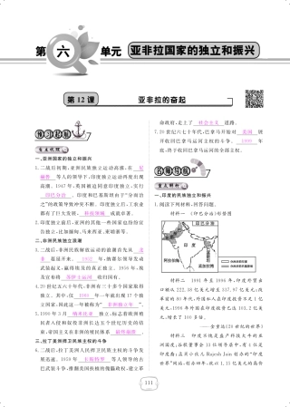 九年级历史下册 第12课 亚非拉的奋起课时作业(pdf) 新人教版试卷