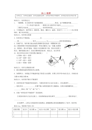 中考物理一轮复习 101 杠杆试卷