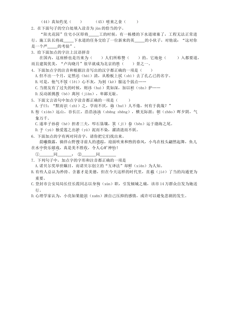 中考语文复习系列 拼音与汉字 新课标 人教版试卷_第2页