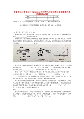 安徽省池州市贵池区九年级物理上学期期末教学质量检测试卷