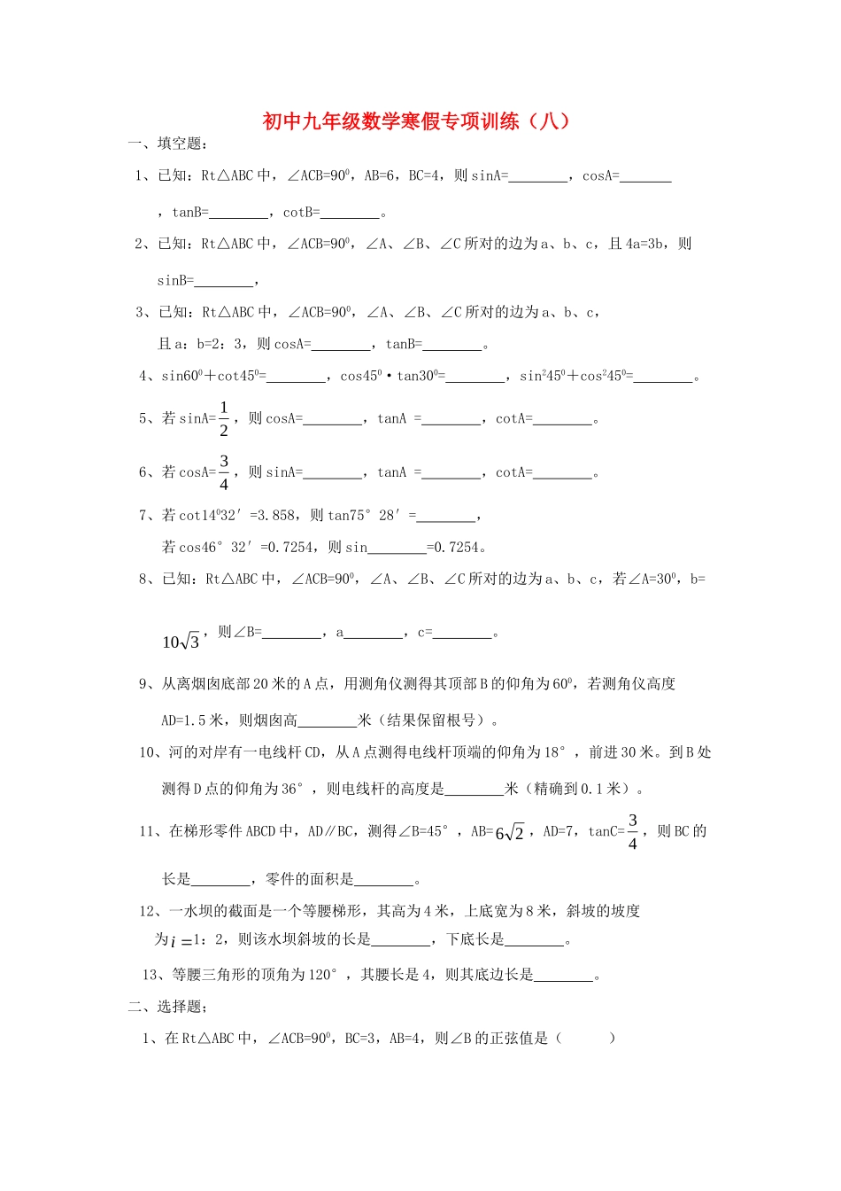 九年级数学寒假专项训练(八) 新人教版试卷_第1页