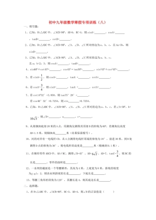 九年级数学寒假专项训练(八) 新人教版试卷