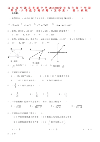山东省宁津县七年级数学下学期第五-六章综合测试卷 新人教版试卷