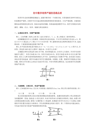 初中数学培养严谨的思维品质专题辅导 试题