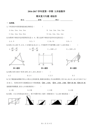 九年级数学期末专题复习 相似形(pdf) 新人教版试卷