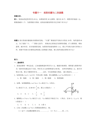 九年级数学 寒假作业 专题十一 实际问题与二次函数试卷