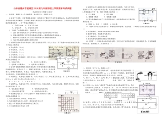山东省德州市陵城区九年级物理上学期期末考试试卷