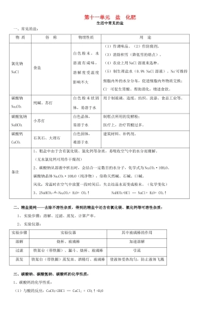 九年级化学下册 第十一单元 盐 化肥复习资料(新版)新人教版试卷