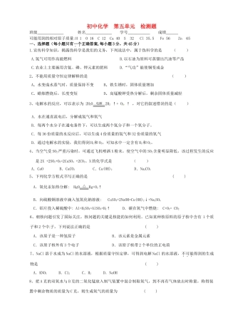 九年级化学 第五章检测试卷试卷