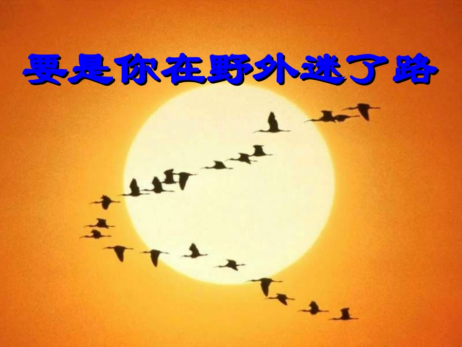 小学语文二年级《要是你在野外迷了路》课件_第1页