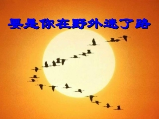 小学语文二年级《要是你在野外迷了路》课件