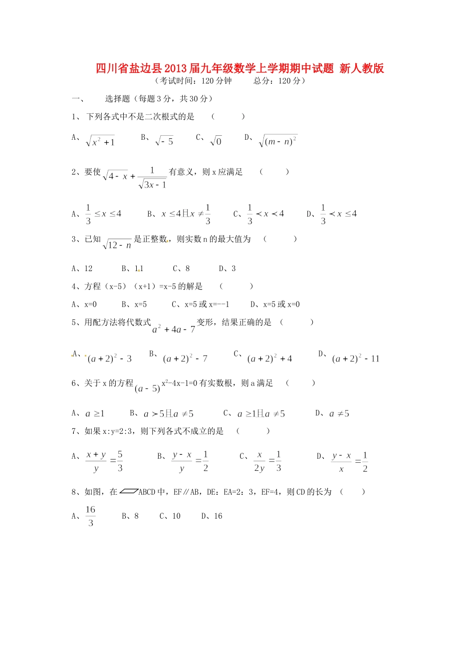四川省盐边县届九年级数学上学期期中试卷 新人教版试卷_第1页