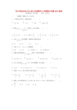 四川省盐边县届九年级数学上学期期中试卷 新人教版试卷