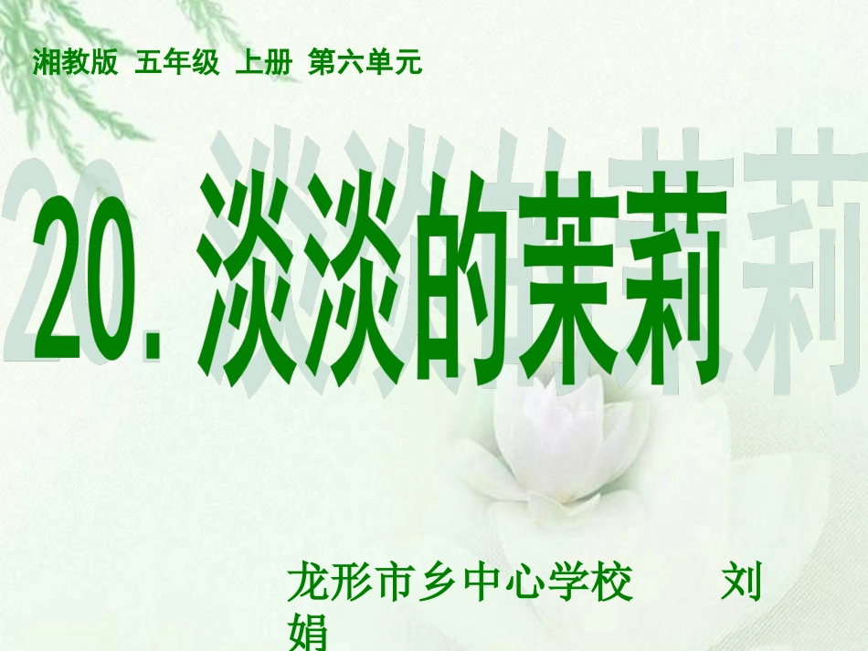 淡淡的茉莉刘娟_第1页
