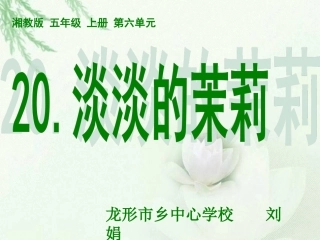 淡淡的茉莉刘娟