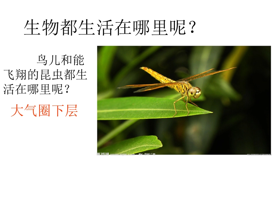 第1节形形色色的生物-(2)_第2页