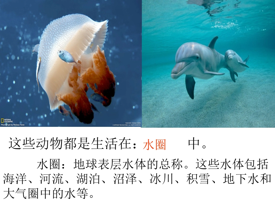 第1节形形色色的生物-(2)_第3页