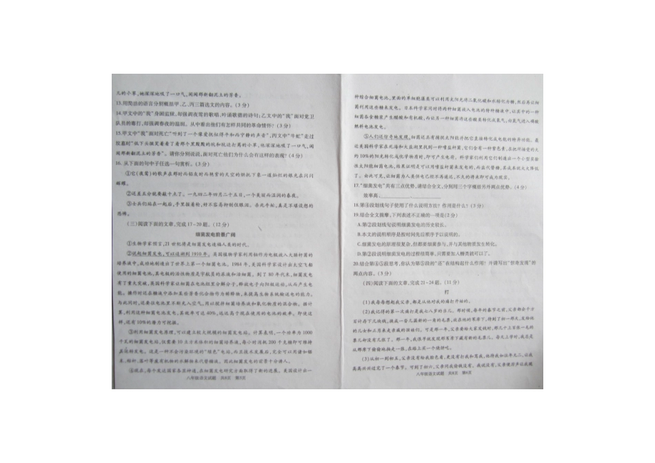 山东省枣庄市山亭区 八年级语文下学期期末考试试卷新人教版试卷_第3页