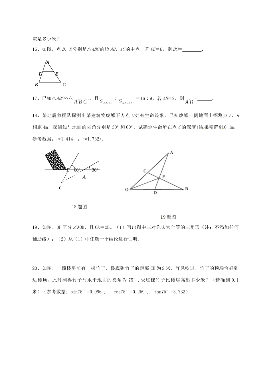 山东省龙口市兰高镇中考数学一轮复习 习题分类汇编十一(三角形3) 鲁教版试卷_第3页