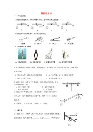 九年级物理 暑假作业11 新人教版试卷