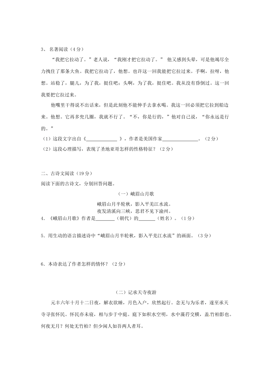 中考语文一模语文试卷 人教新课标版试卷_第2页