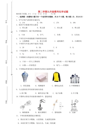 九年级化学下学期入学考试试卷试卷
